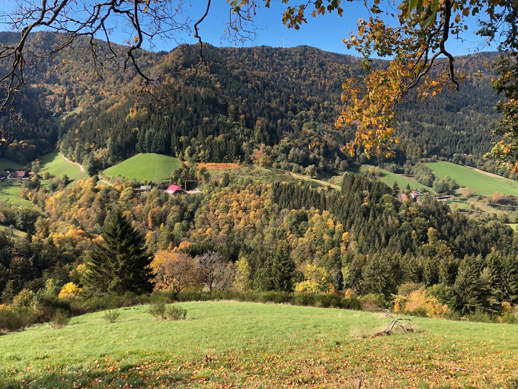 2 Zimmer Wohnung, Mit Sonnenterasse Schoenwald im Schwarzwald Exterior photo